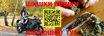 прущие грибы Вязьма