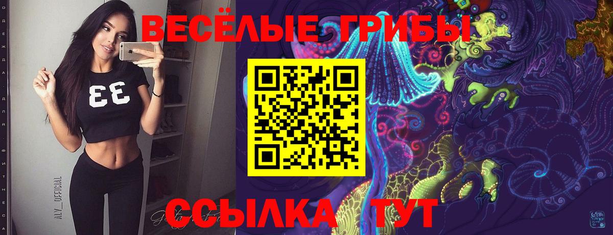 Алексин  Псилоцибиновые грибы ЛСД  Вход с VPN 